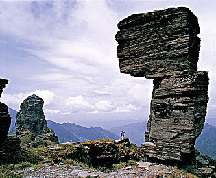 男坤坤放女坤坤：双形态极速切换，赛博赛道今日上演全新竞速策略