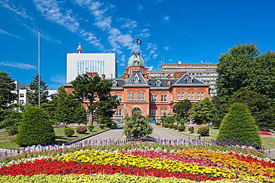 天天干一干：每日竞速新体验，地平线5如何让驾驶成为日常仪式