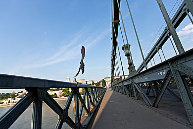 传媒专区：在竞速世界书写你的汽车文化篇章