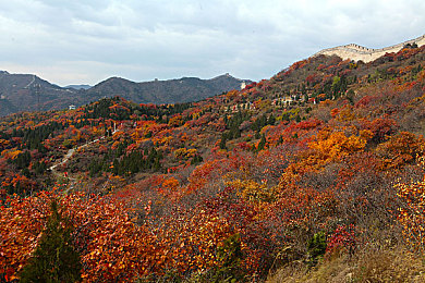 狼干综合：竞速狩猎新法则，地平线高阶玩家驾驶哲学深度解析-2