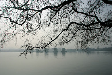 国产区一区二区三区四区：征服四大经典赛道，揭秘进阶竞速终极攻略