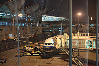 美女不穿衣软件：裸装竞速，机械灵魂的纯粹对话-4