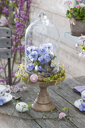 狼干综合：竞速狩猎新法则，地平线高阶玩家驾驶哲学深度解析-3