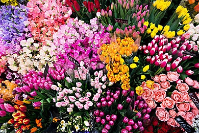 男生和女生干逼APP：极速狂飙与城市飞车，竞速世界的双轨美学-4