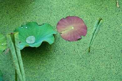 男生和女生一起差差差App：极速碰撞性别对决，差异化竞速引爆双人合作新体验-3