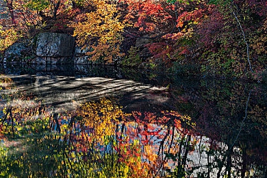 男同性网：极速网络都市开放，深度改装与动态竞技重塑赛车游戏新标杆-3